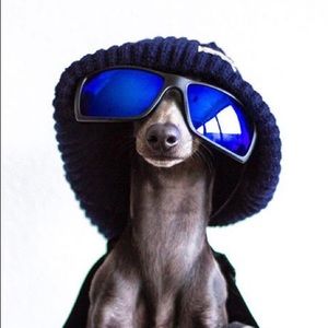 Meet your Posher, Craig